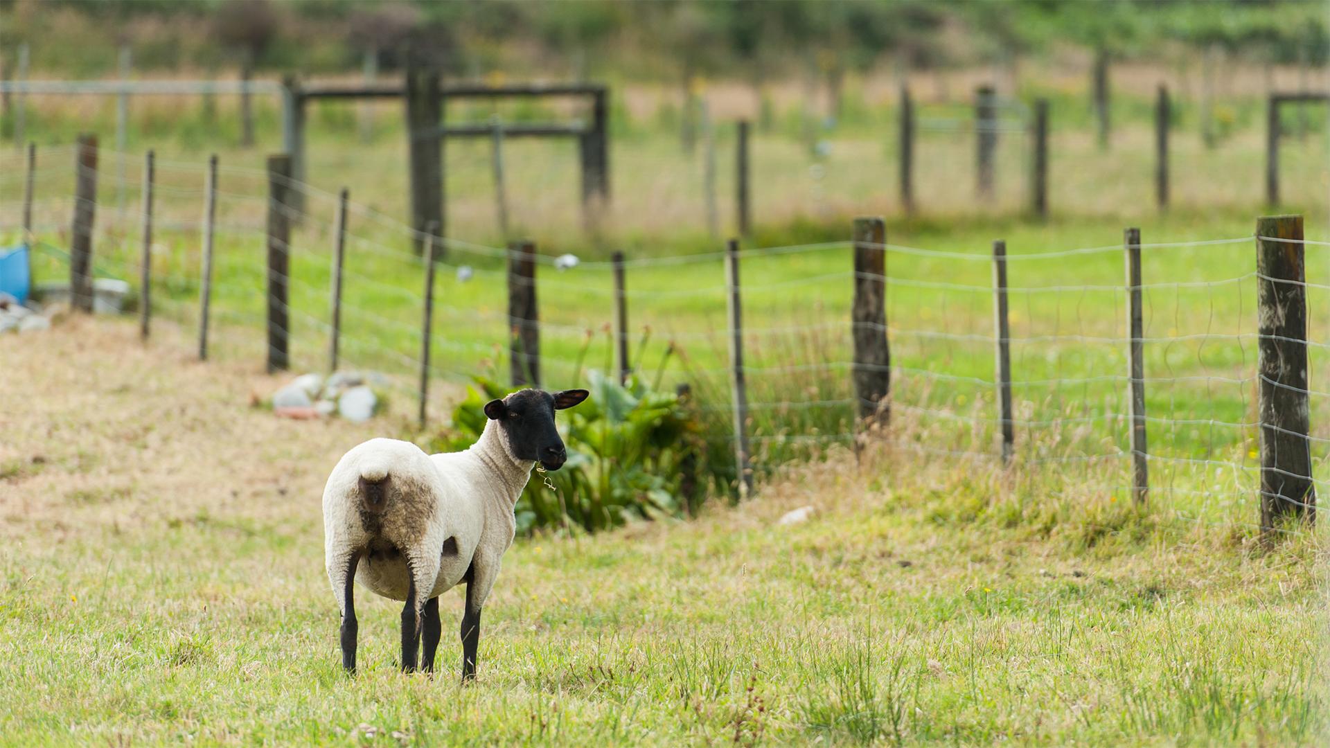 AÖP 2026 – hogy a vállalások betarthatóak legyenek