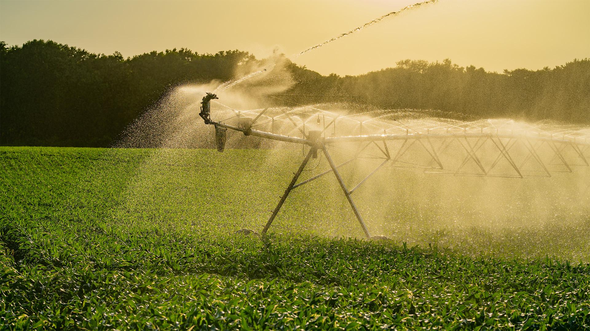 Öntözésfejlesztés indul Kenderesen