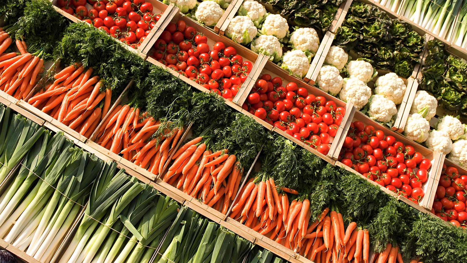 Pályázat termelői szervezeteknek