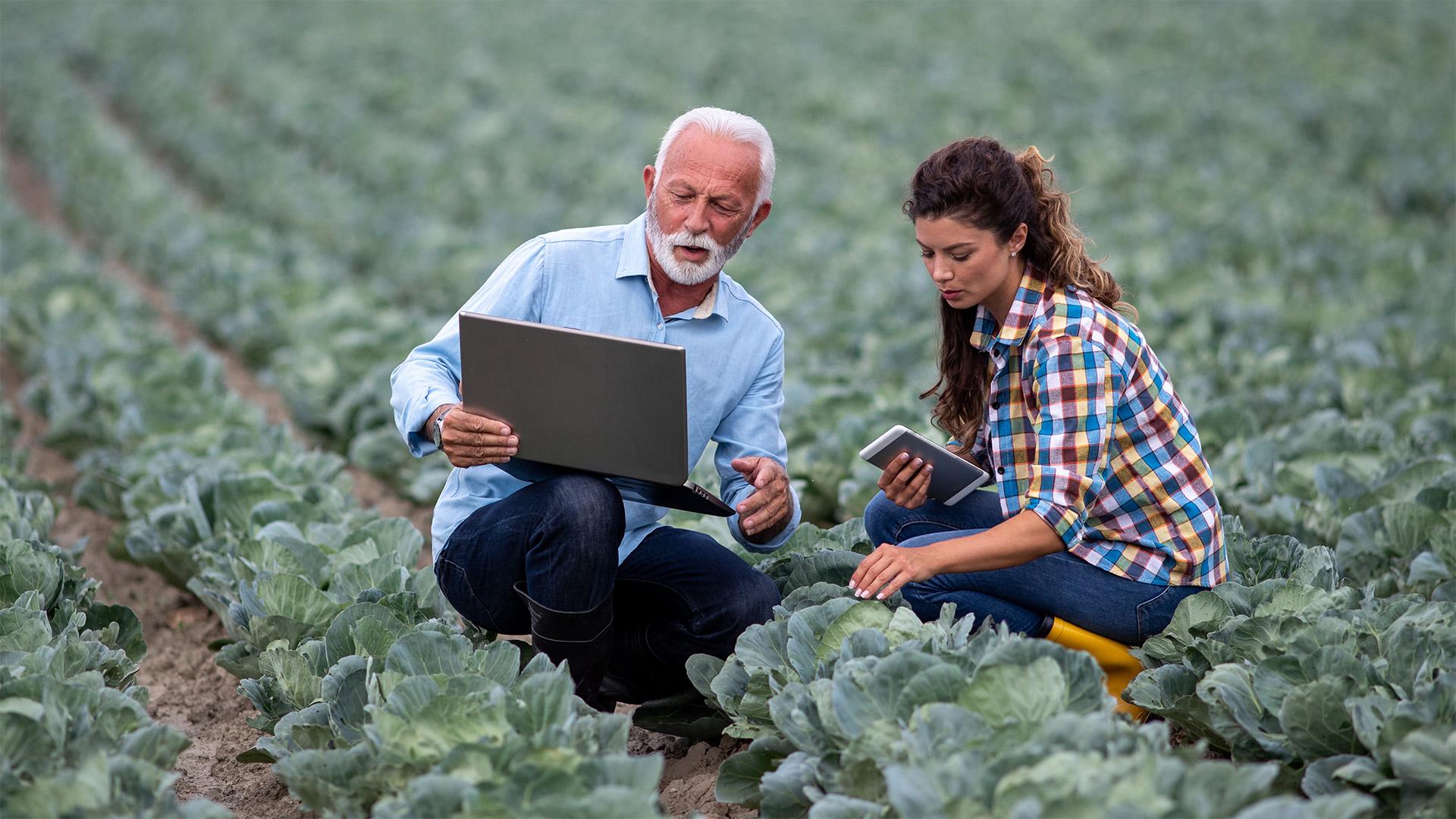 42 támogatási jogcím múlik a gazdaságátadás időpontján