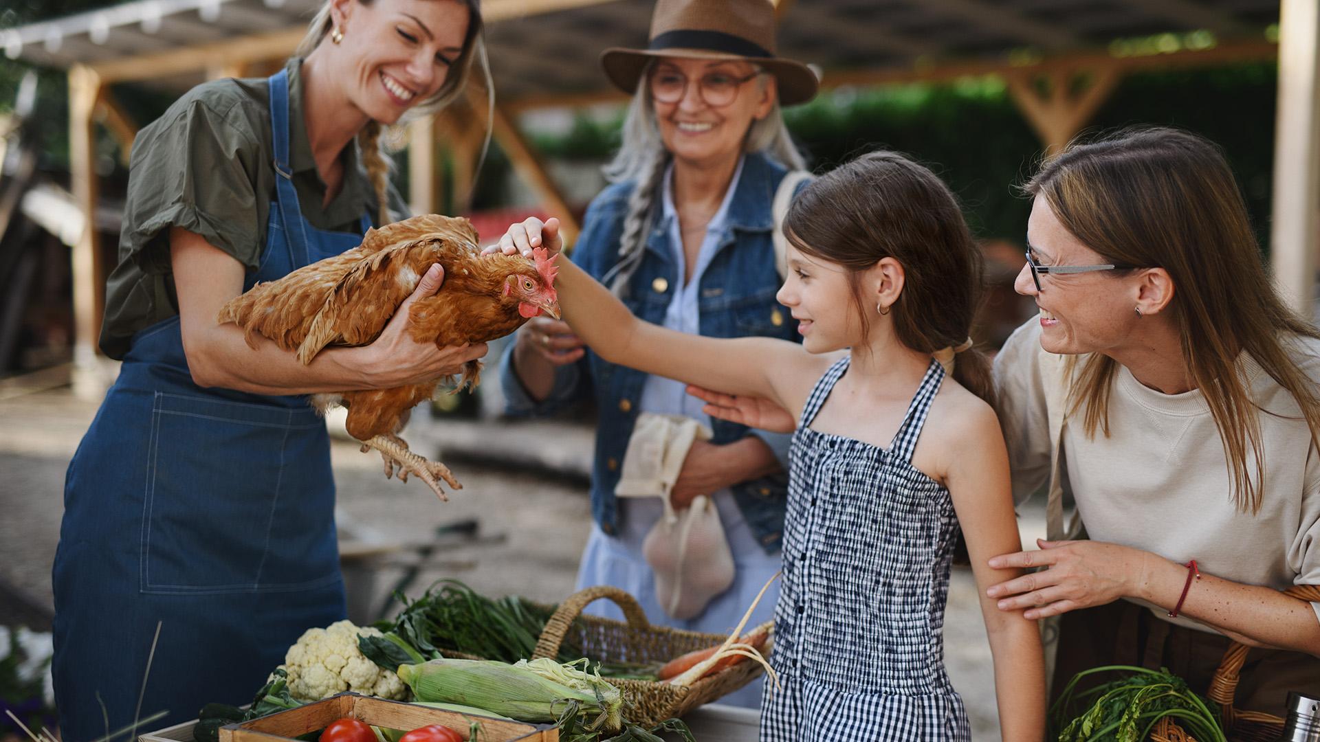 Agroturizmusra FEL! - országos roadshow indul