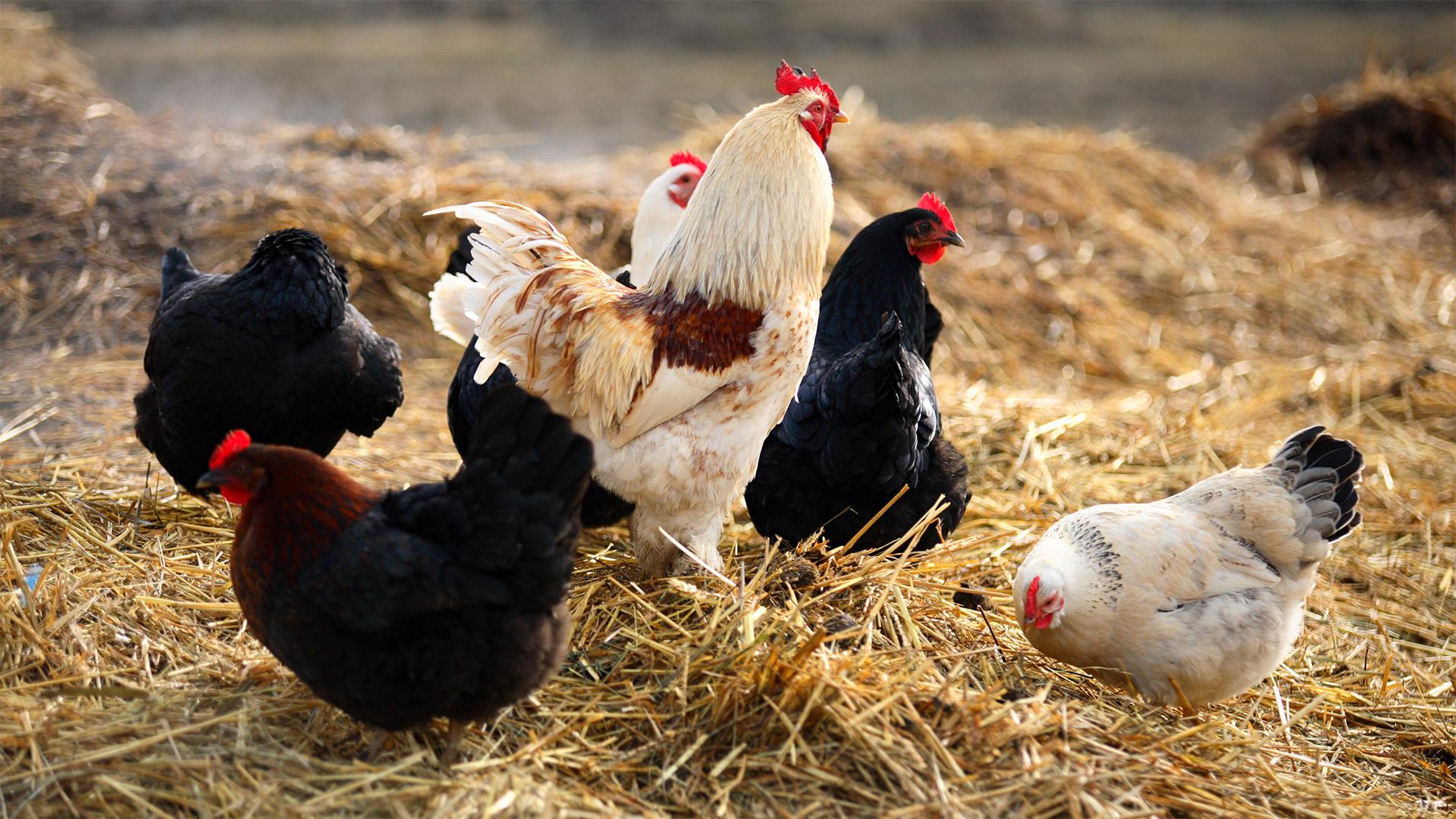 Komoly technikai felszerelés és szakmai tudás