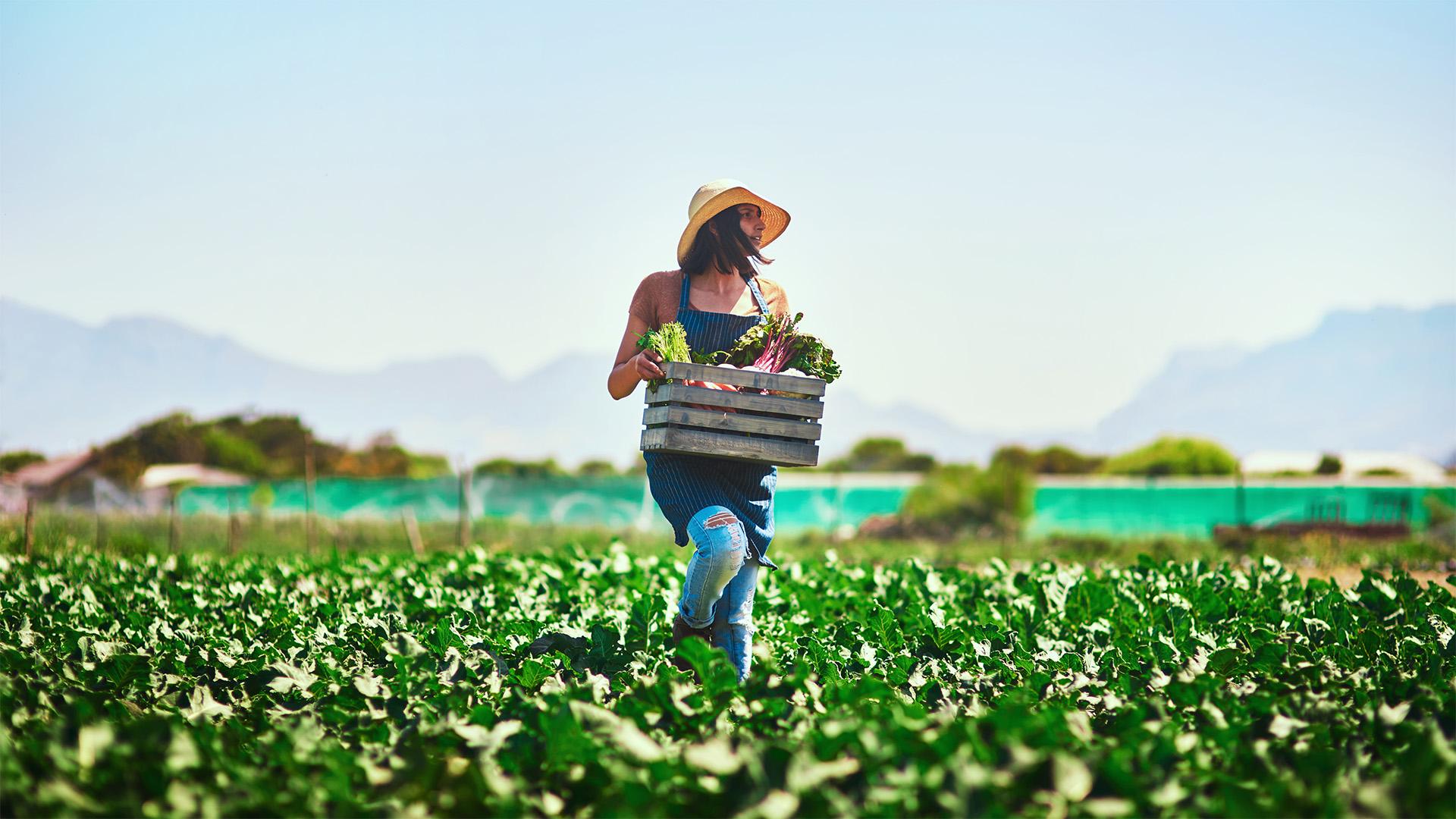Uniós kezdeményezés a vidéki nők innovációjáért