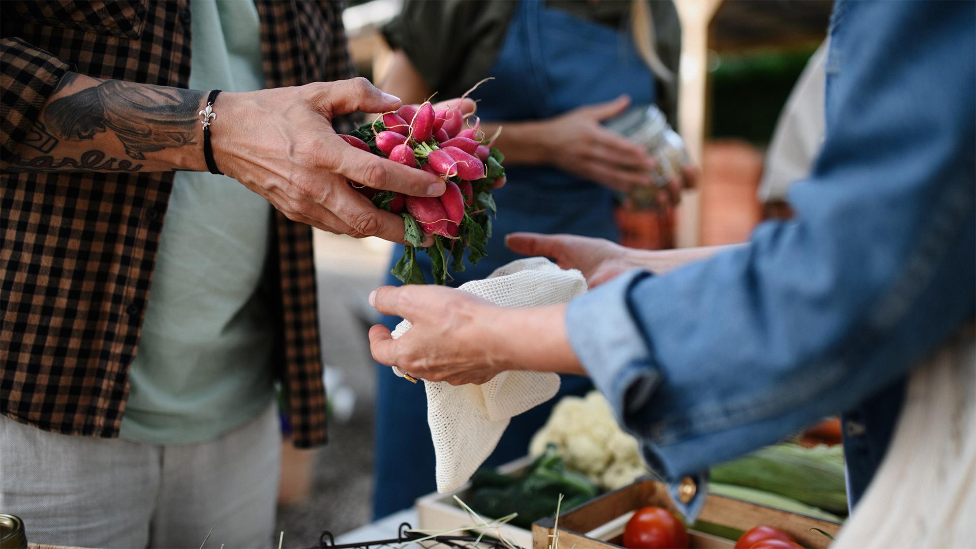 Új piacot avattak Körösszegapátiban