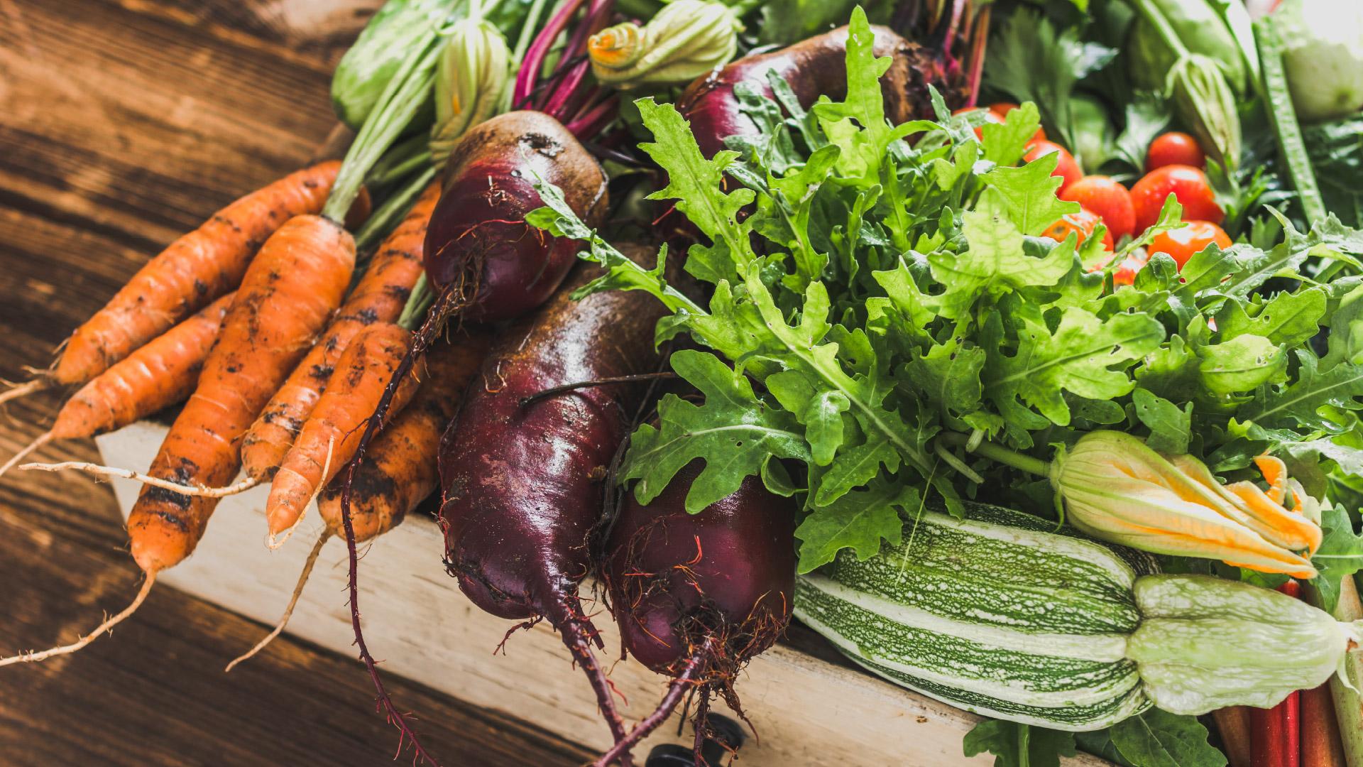 Az ökológiai gazdálkodók új lehetőségei