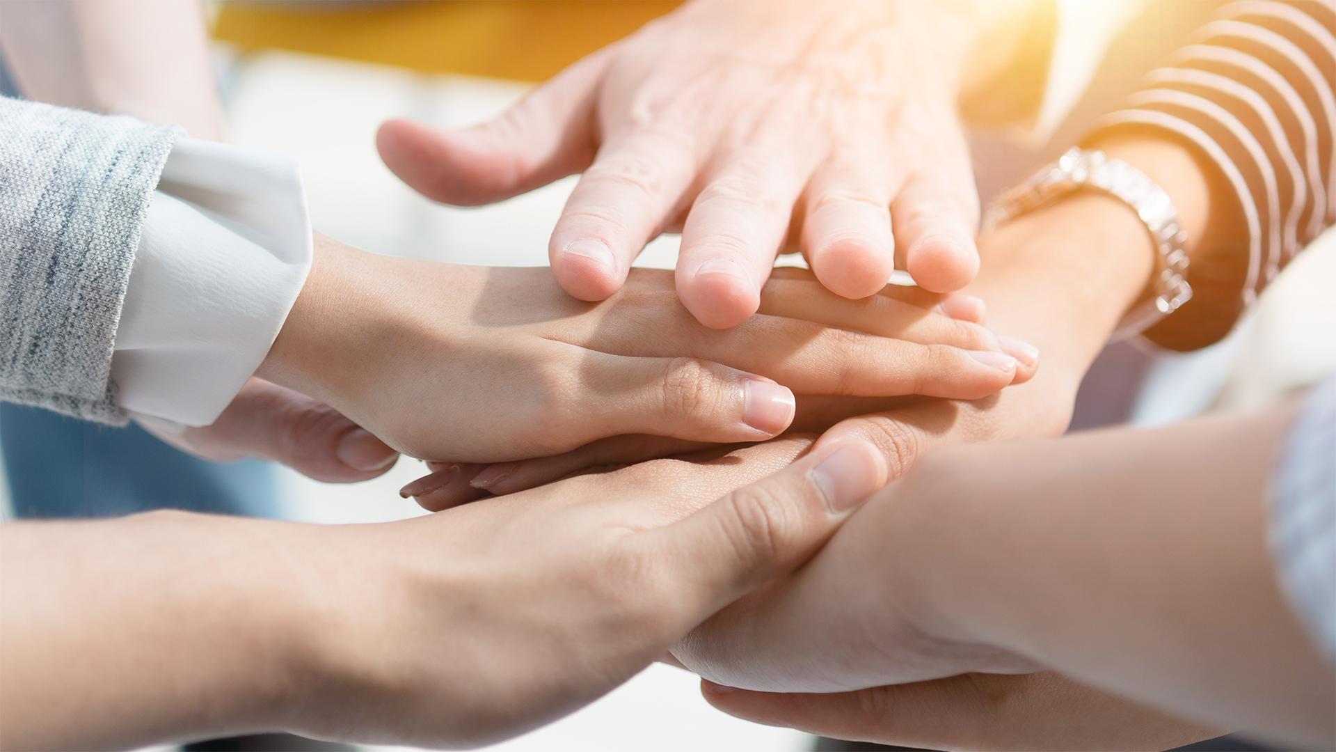 ELARD: egy év a fejlődés és partnerségek jegyében