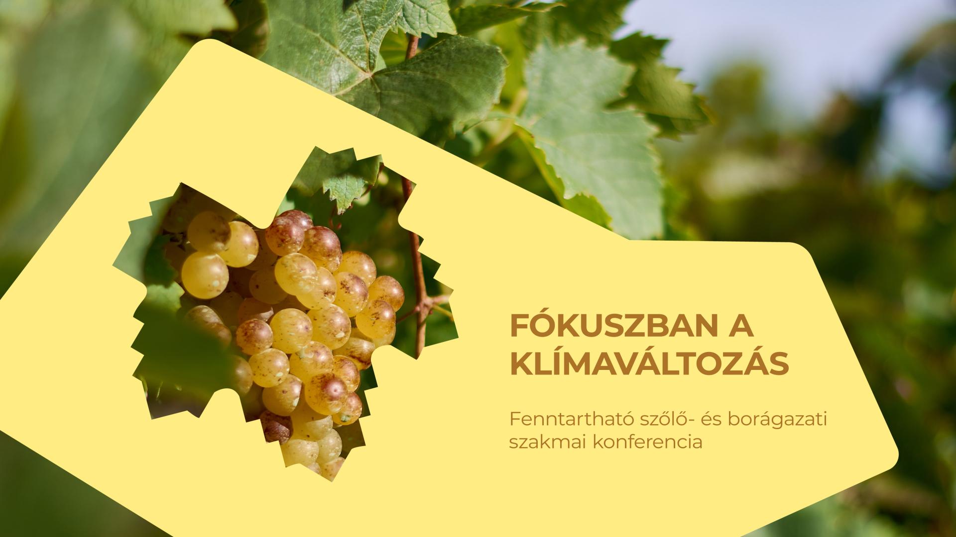 Klímaváltozás és szőlészet: konferencia neves szakértőkkel