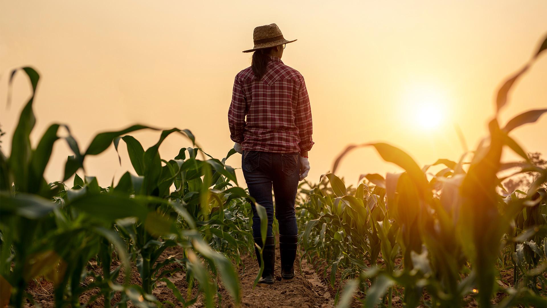 Uniós platform támogatja a női gazdálkodókat