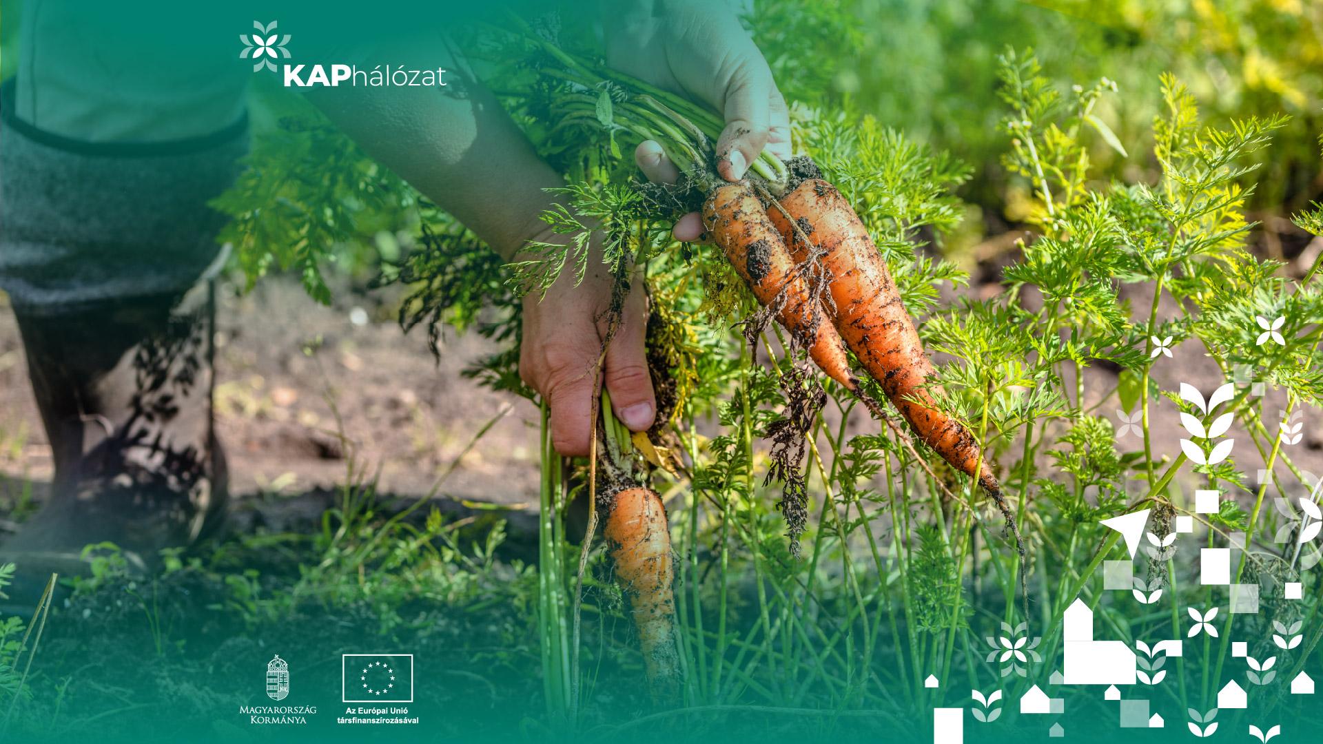 A Nemzeti KAP-hálózat új lendületet adhat az agráriumnak