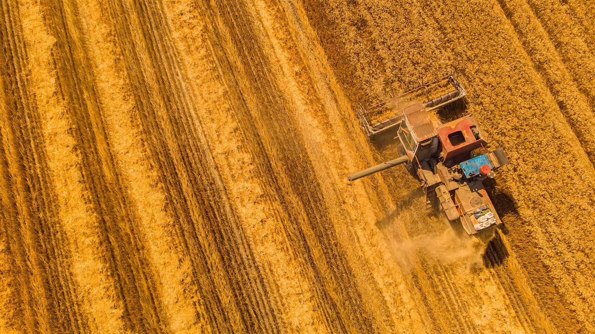 Napirenden az agrárpiacok és a KAP jövője