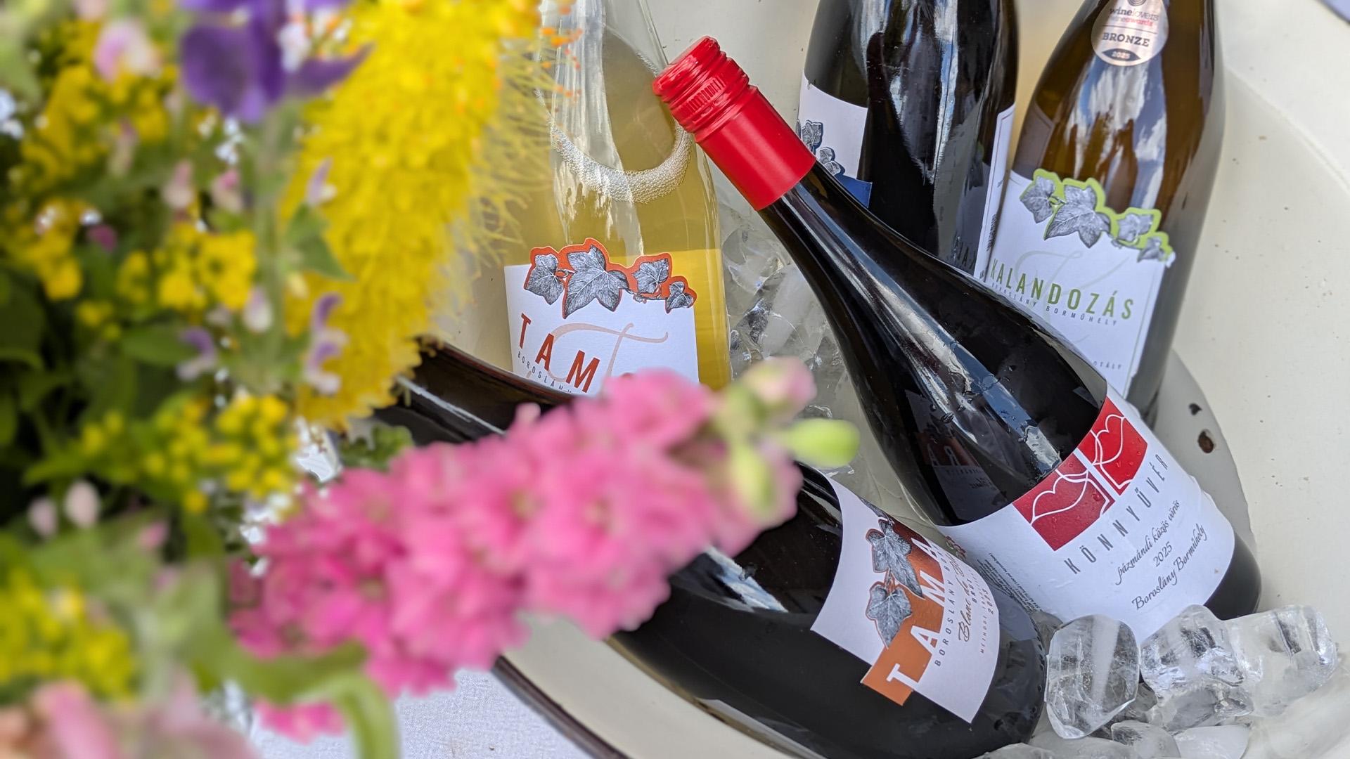 Közösségi siker a dűlőkön: P’azm’and Wine 2026