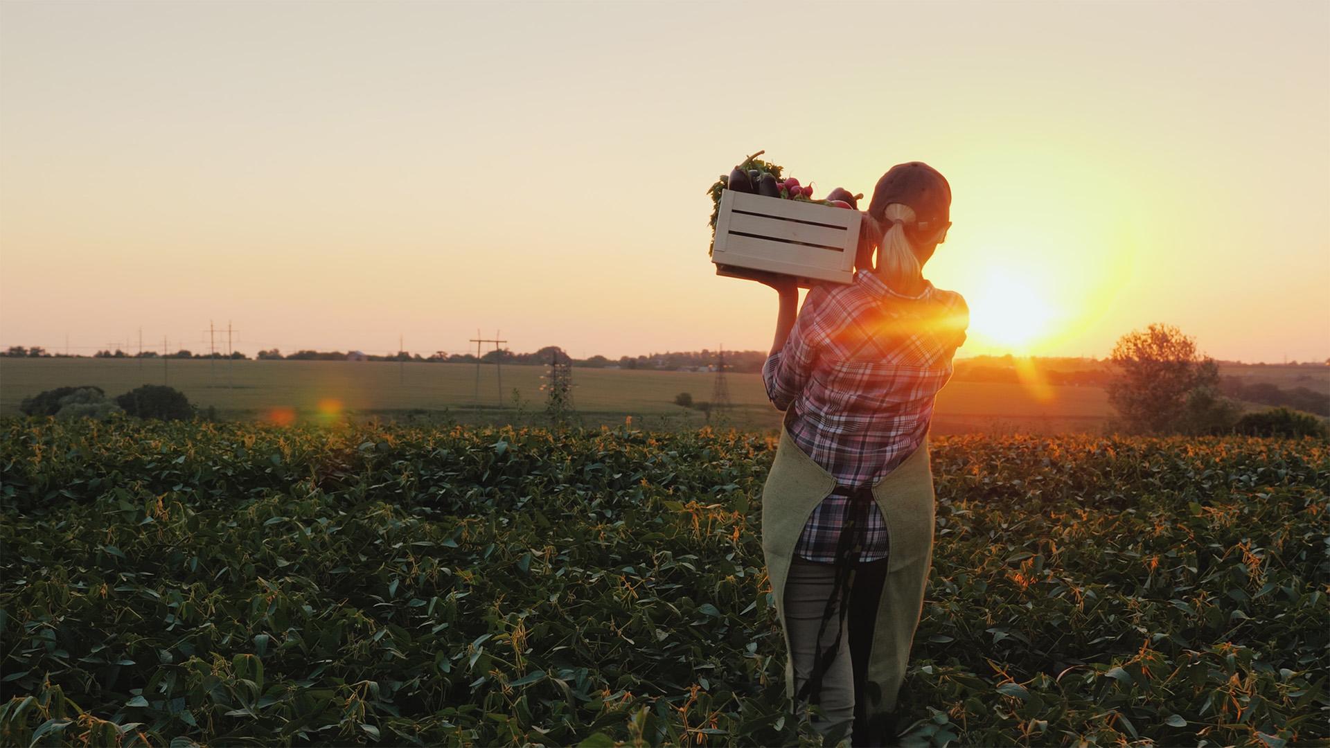 A Women in Farming Platform első személyes szemináriuma